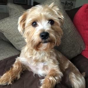 Meet your Posher, Debbie